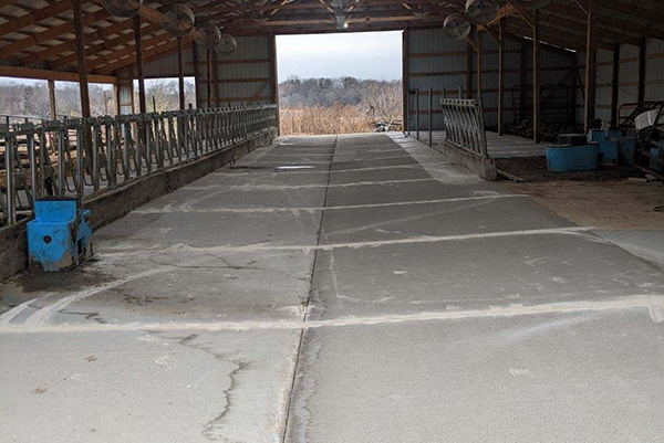 Agricultural Concrete Indoor